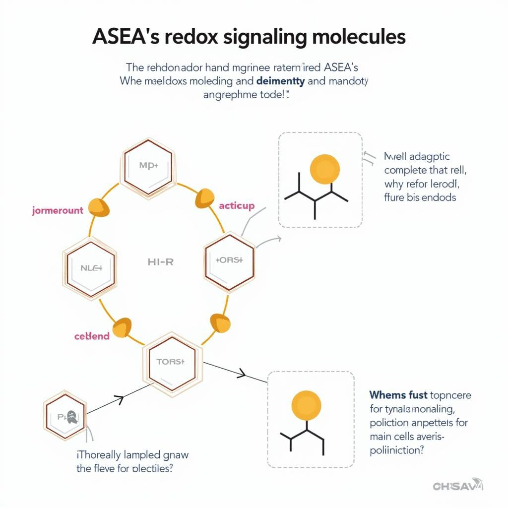 ASEA Redox Signaling Molecules Explained