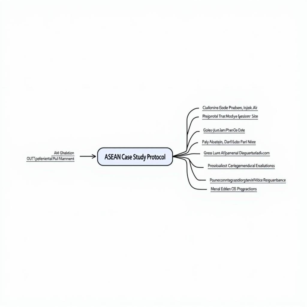 ASEAN Case Study Protocol Summary