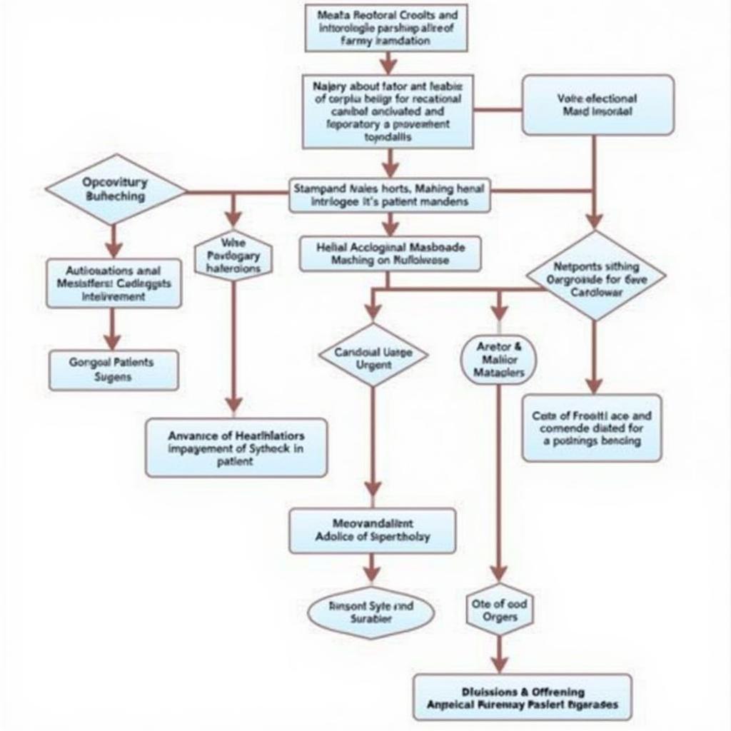 ASEAN Prosthetic Valve Guidelines Diagram