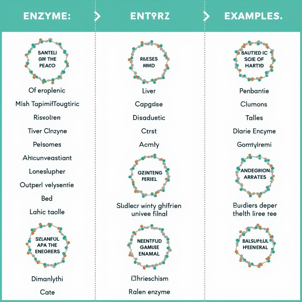 Diagnostic Testing & Enzyme Levels Related to "ase" Suffix