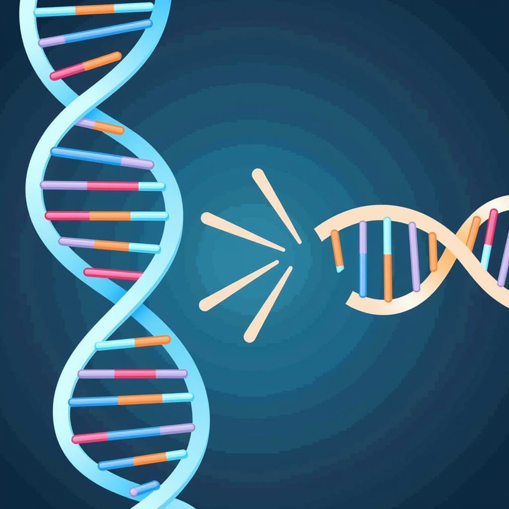 DNA Polymerase Replication