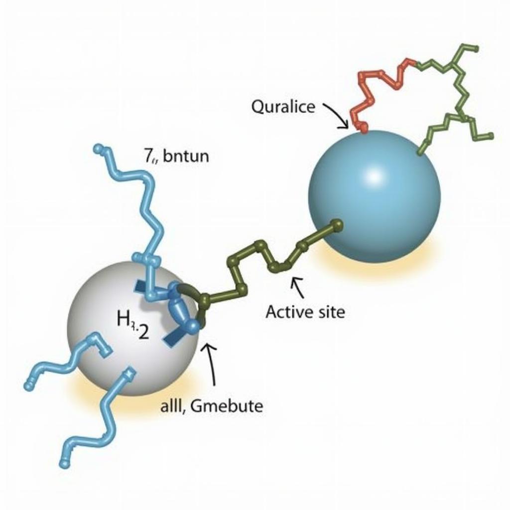 Enzyme Activity in Medical Terminology