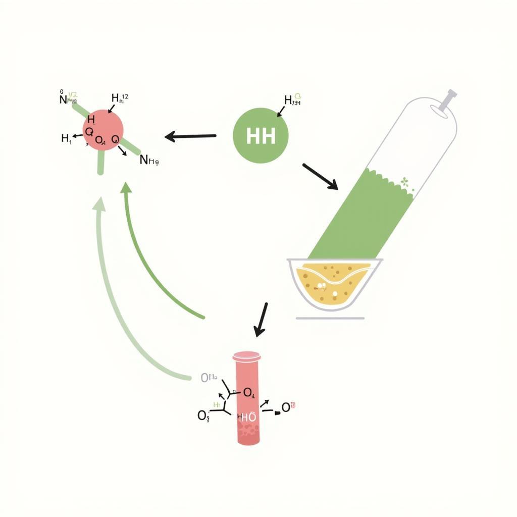 Enzyme Catalysis Process