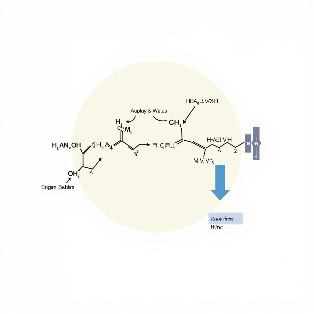 Enzyme Function Illustration