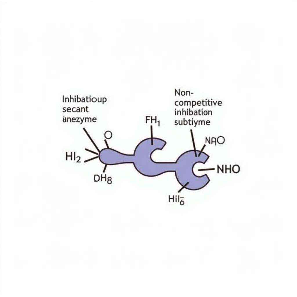 Enzyme Inhibitor Mechanism