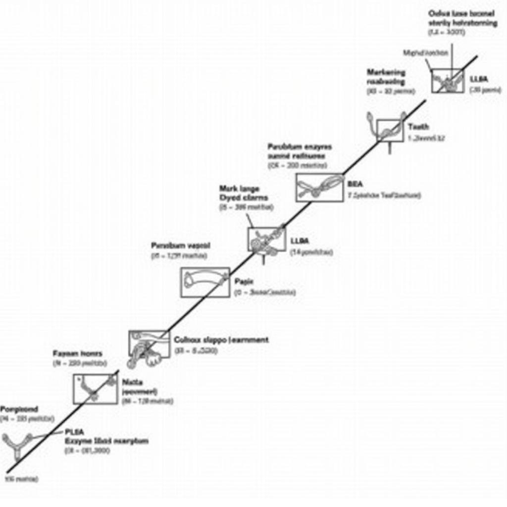 Historical Timeline of Enzyme Naming Convention