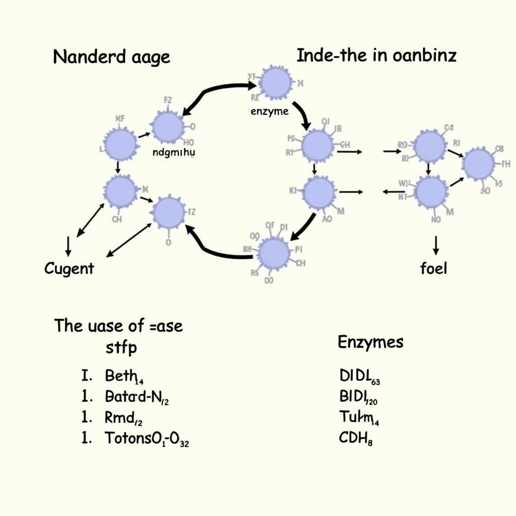 Enzyme Naming Conventions and the "Ase" Suffix