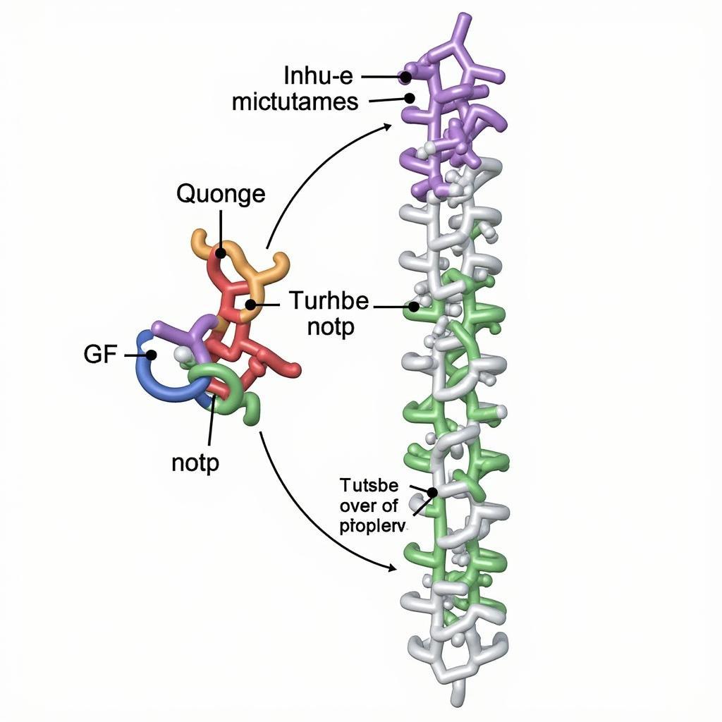 Enzyme Structure Diagram