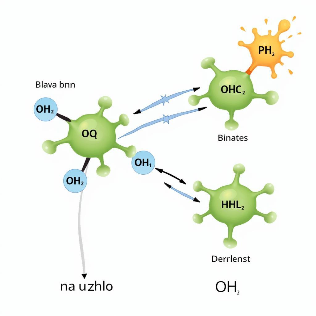 Enzyme Structure and Function