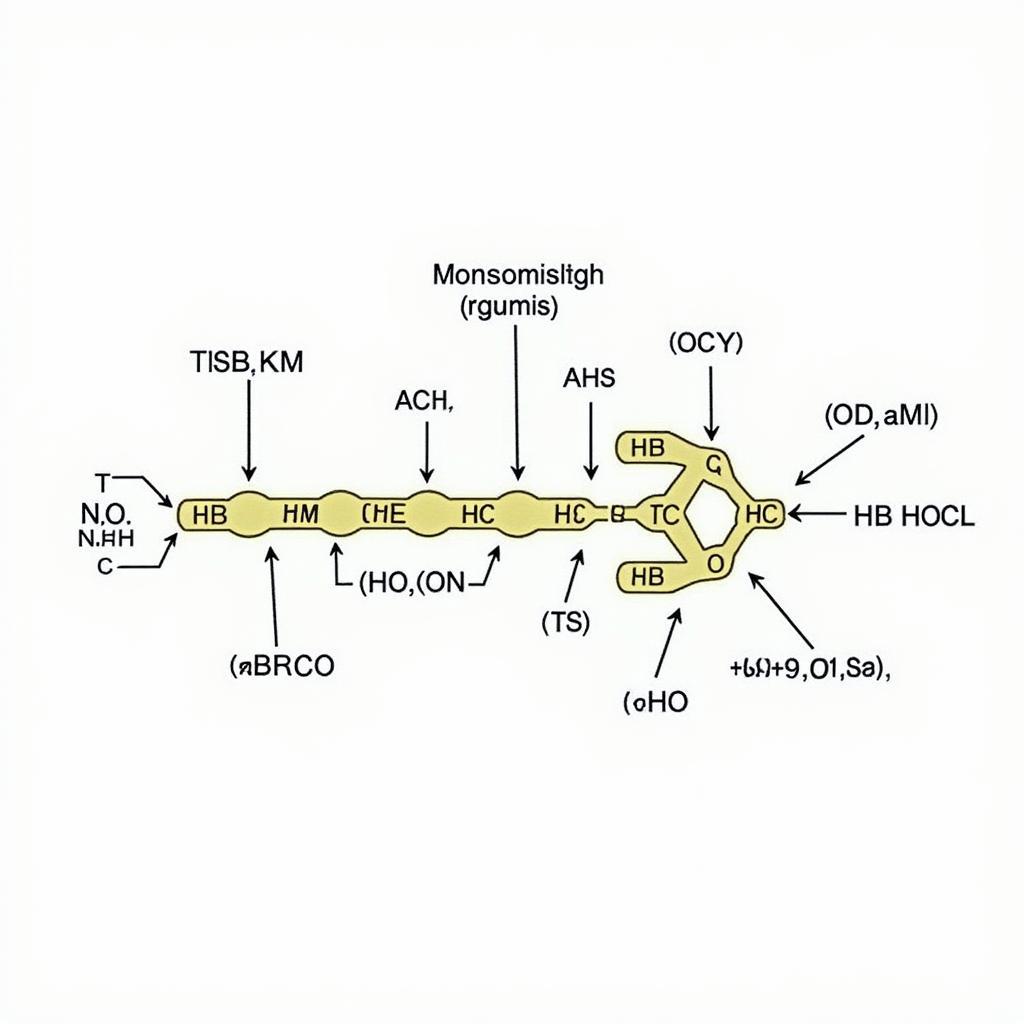 Enzyme Structure and TASE Function