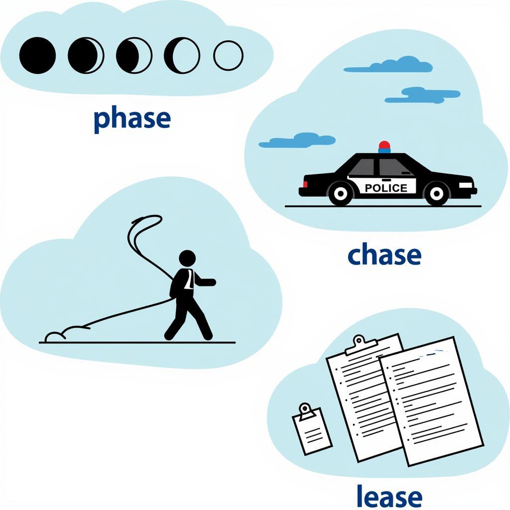 Examples of 5-Letter Words Ending in ASE