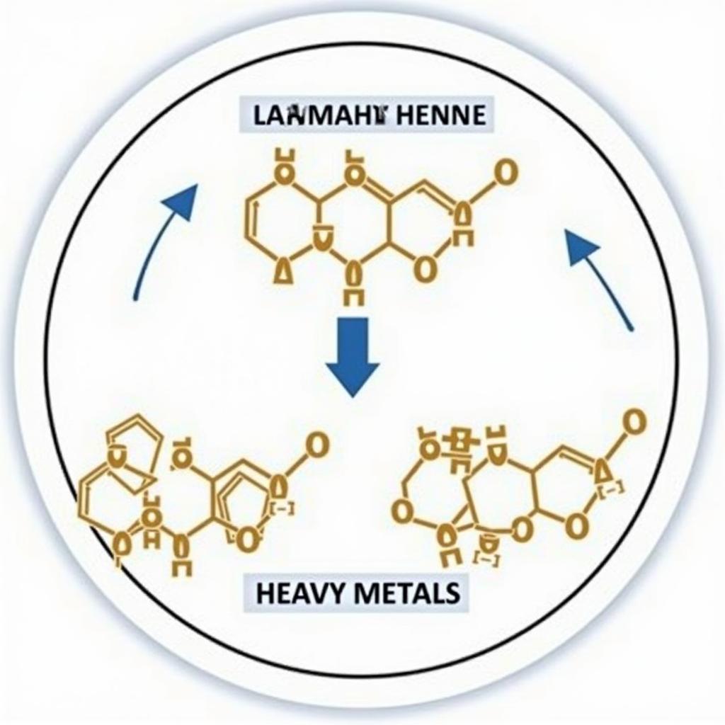 Glutathione and Heavy Metal Interaction