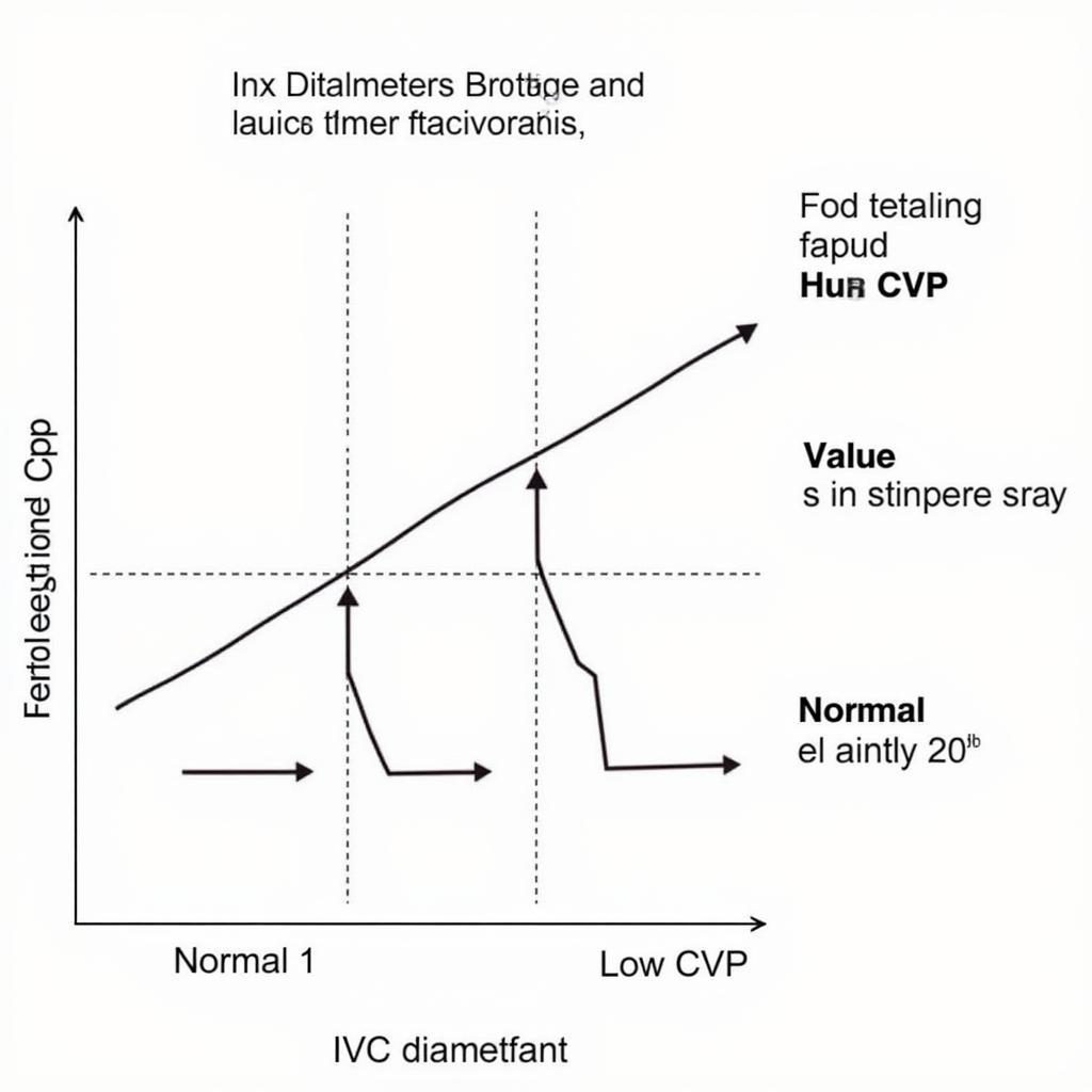 Interpreting IVC Echo Results for ASEAN Pressure Estimation