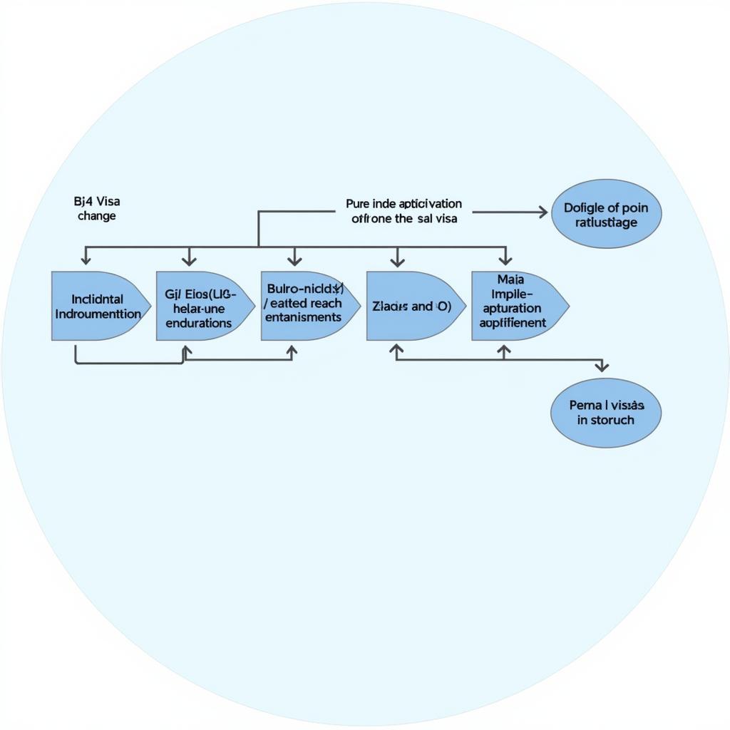 Intra-Corporate Transferee Visa Process