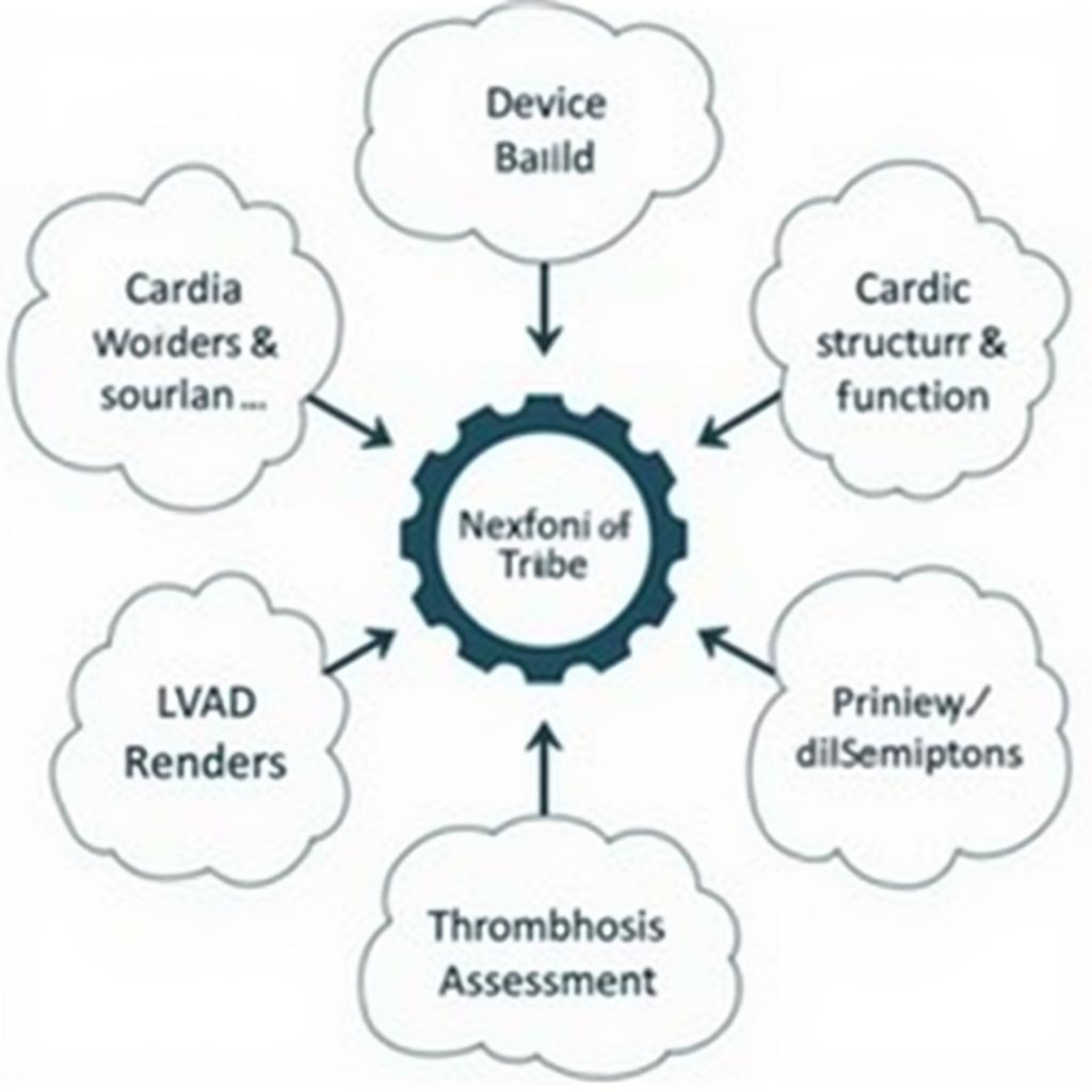 Key Components of the ASE LVAD Guidelines for Echocardiographic Assessment