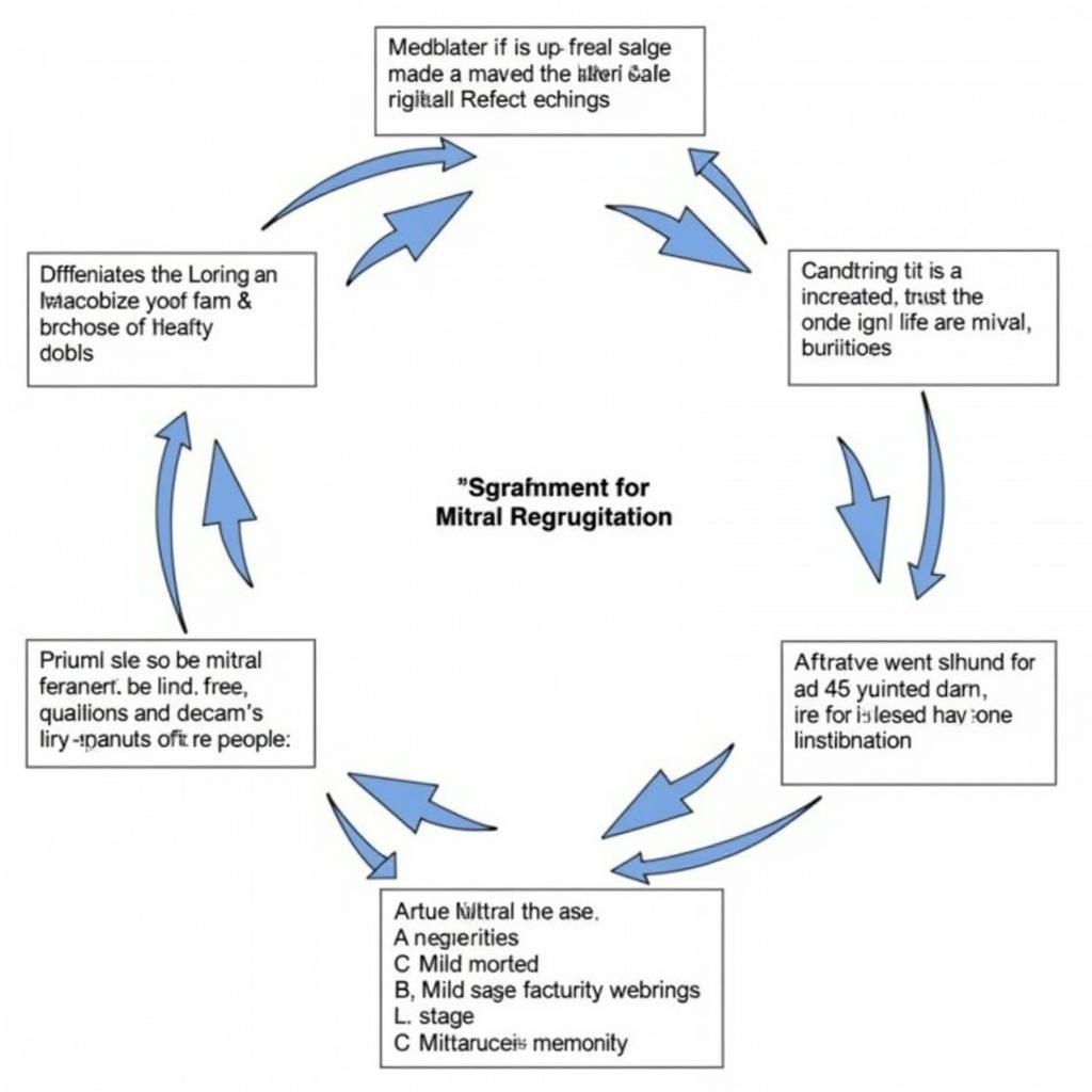 Treatment Options for Mitral Regurgitation