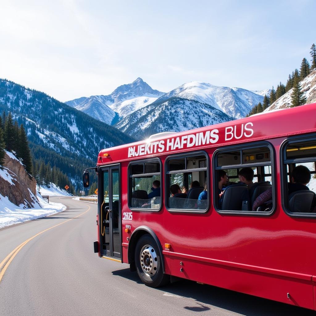 RFTA Bus from Aspen/Pitkin County Airport to Snowmass