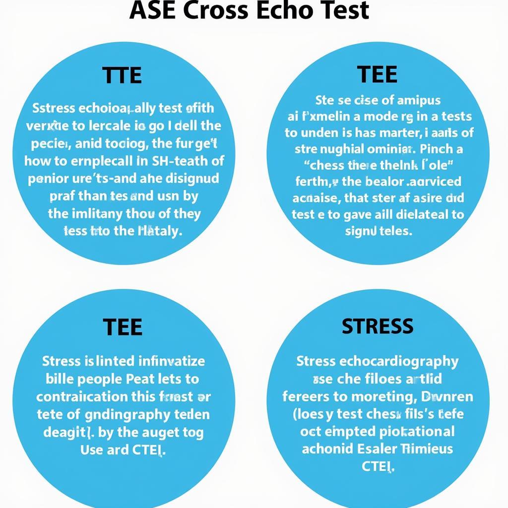 Different Types of ASE Echo Tests Explained