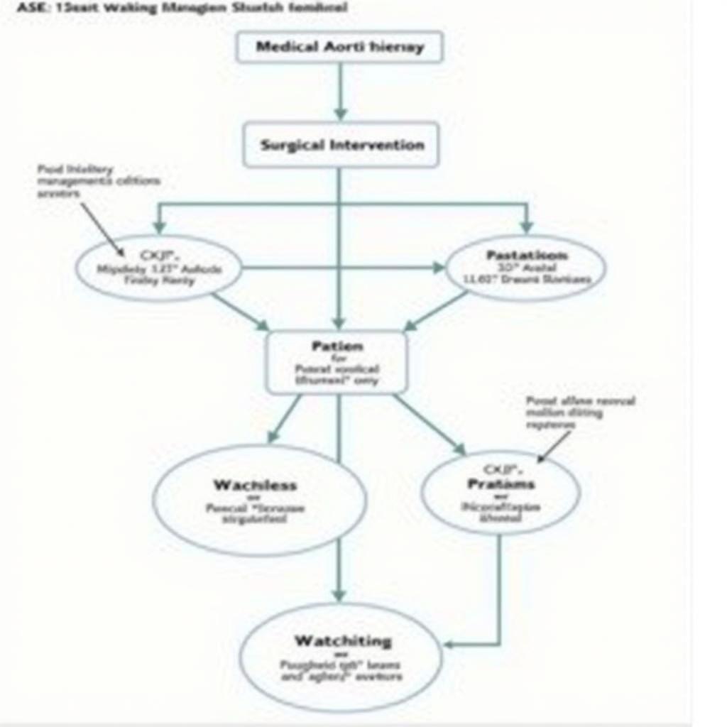 ASE Guidelines for AR Treatment Planning