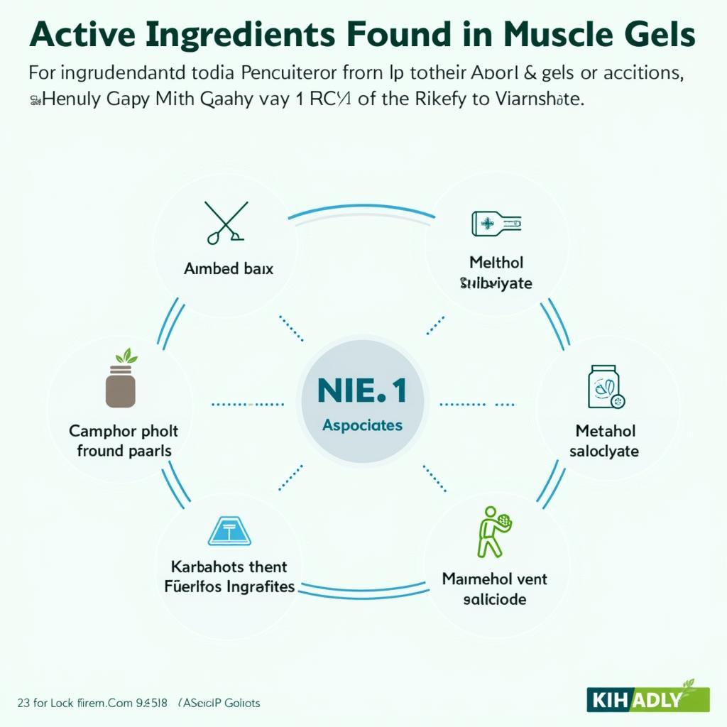 Asean Muscle Gel Key Ingredients