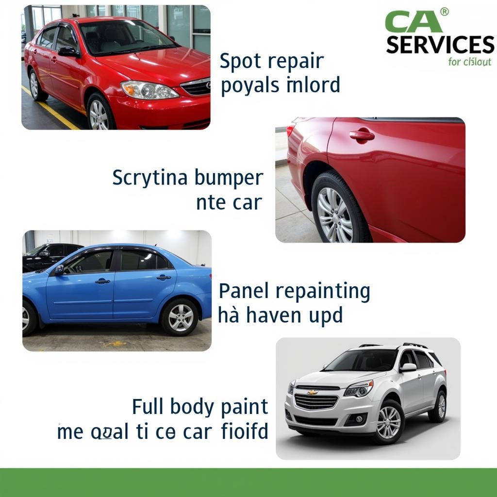 Different types of car painting services available in ASEAN, including spot repair, panel repainting, and full-body paint jobs.