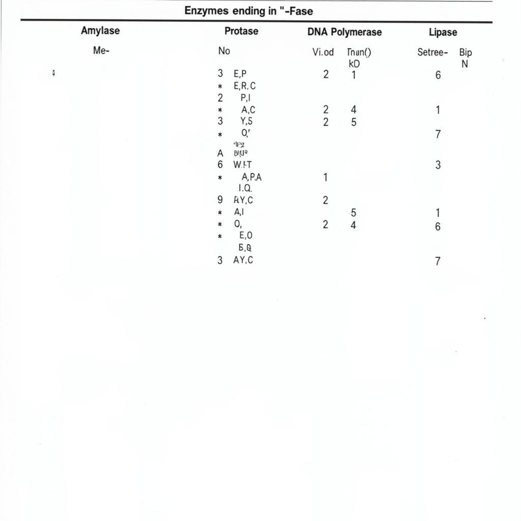 Common Enzymes and Their Functions