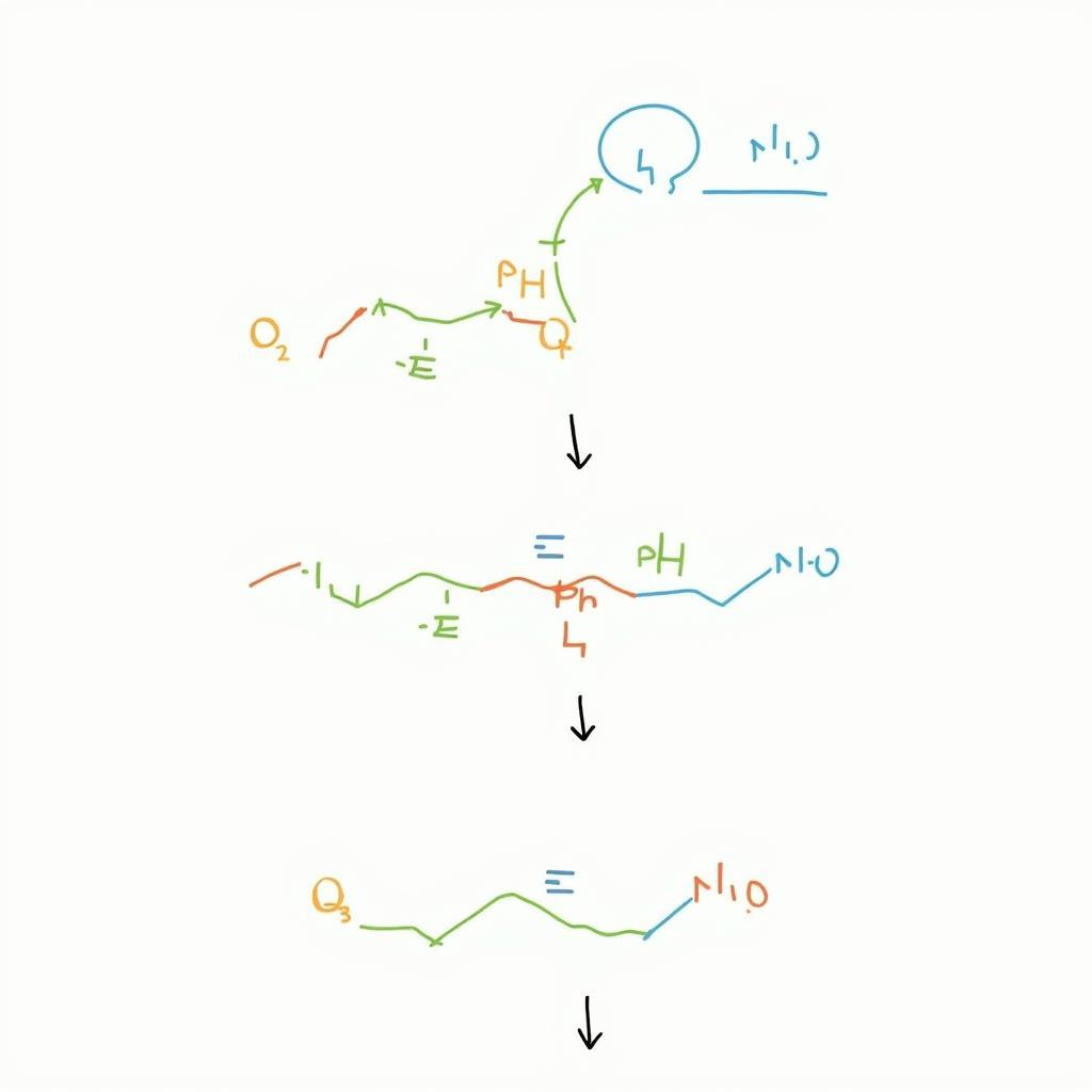 Enzyme Catalyzed Reactions