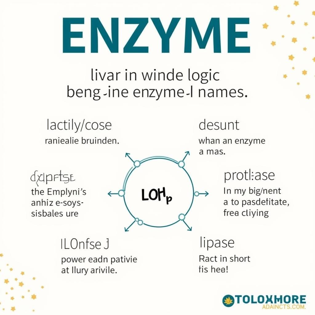 Enzyme names often reflect their function, making it easier to understand their role.