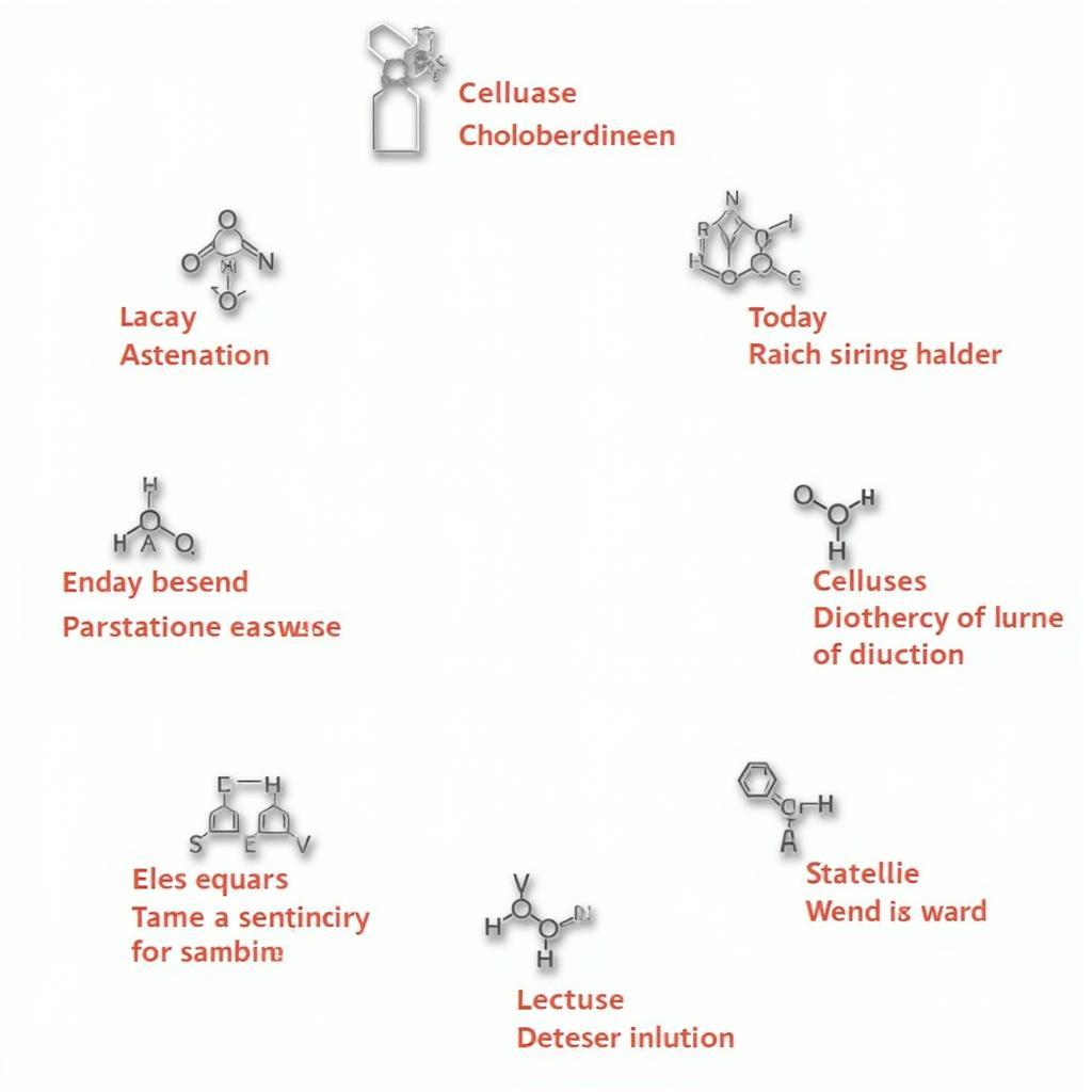 Examples of Enzymes Ending in ASE