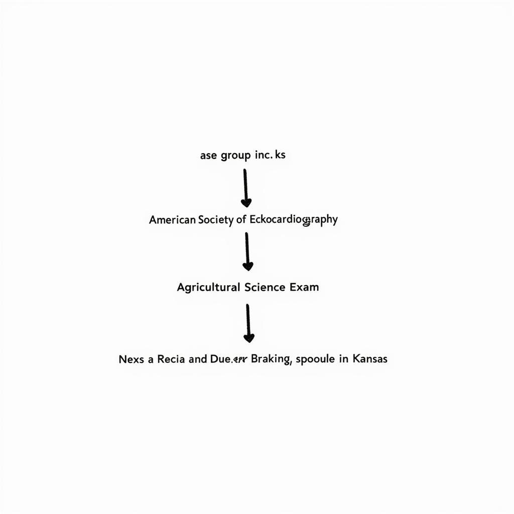 Understanding the Meaning of ASE Group Inc KS