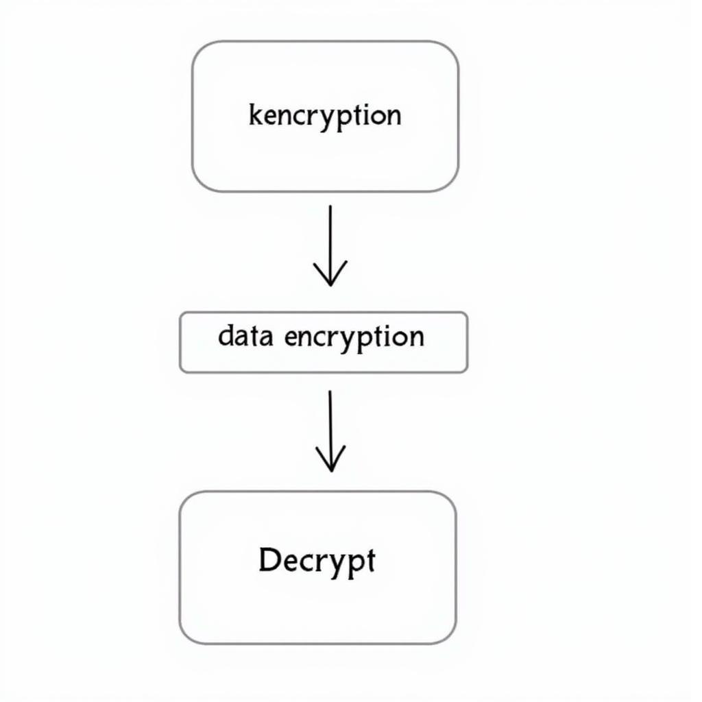 Diagram illustrating ASE 256 encryption process