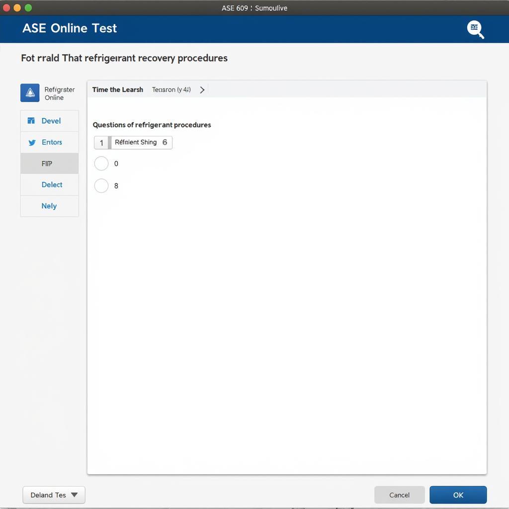 ASE 609 Online Test Interface