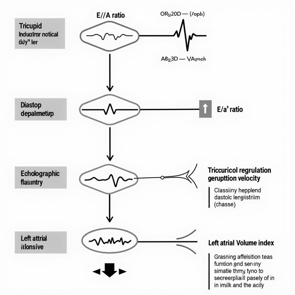 ASE Diastolic Dysfunction Algorithm 2016