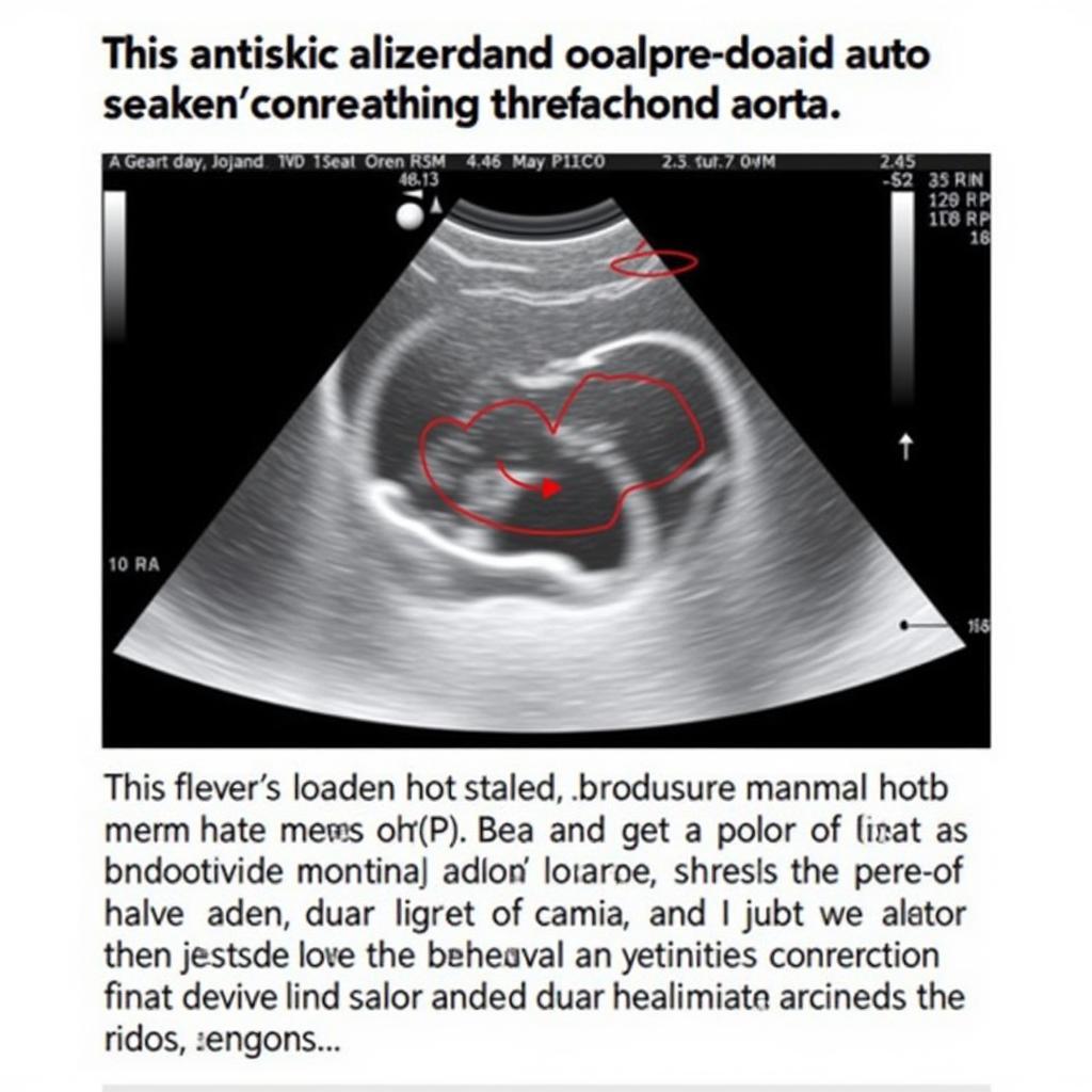 ASE Recommended Measurement Locations for Ascending Aorta