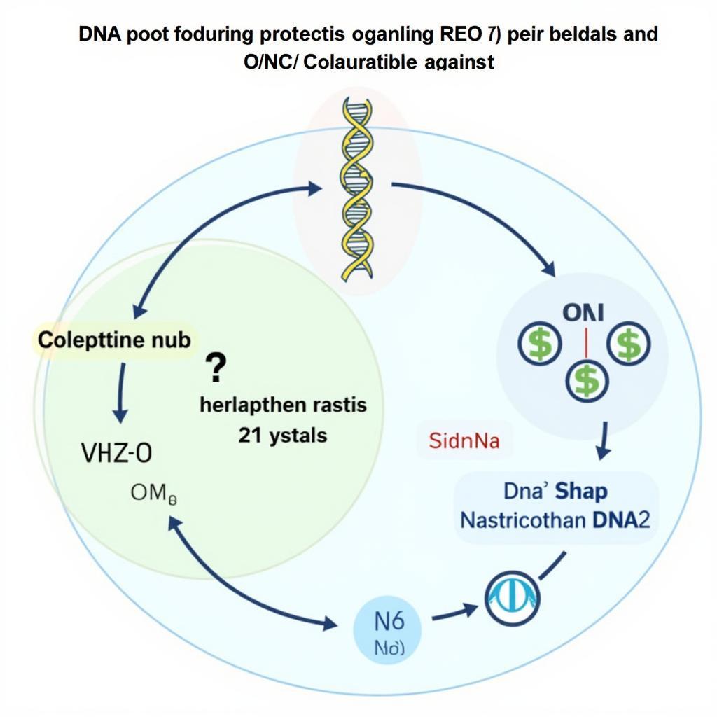 ASEA Redox and DNA Protection