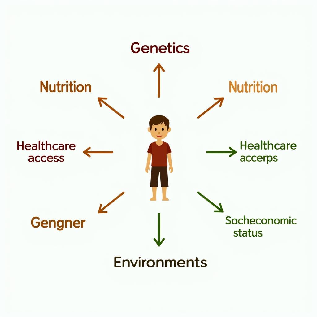 Factors Influencing Average Height in ASEAN