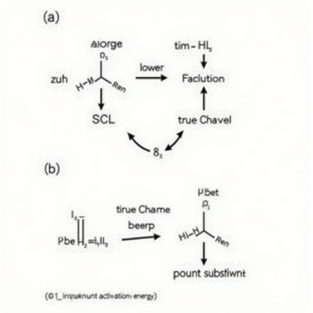 Enzyme Catalysis Mechanism