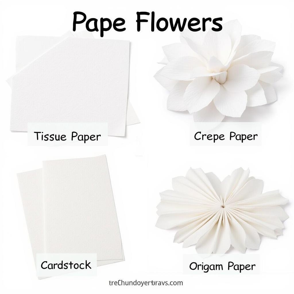 Different Paper Types for Paper Flower Making